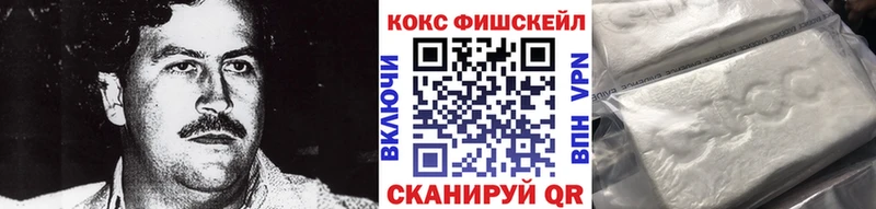 Cocaine Fish Scale  Купить закладки  Протвино 