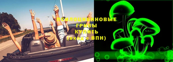 дживик Нея