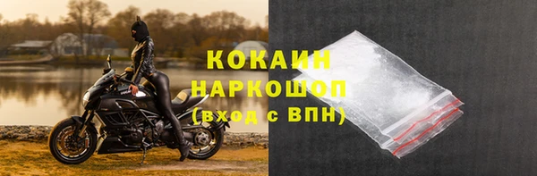 дживик Нея