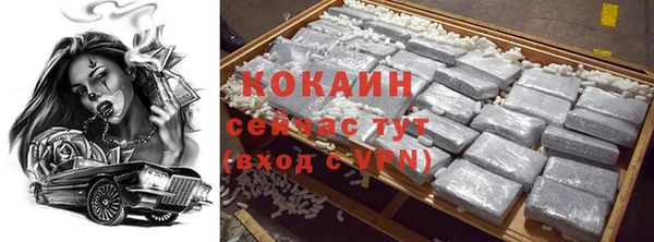 дживик Нея