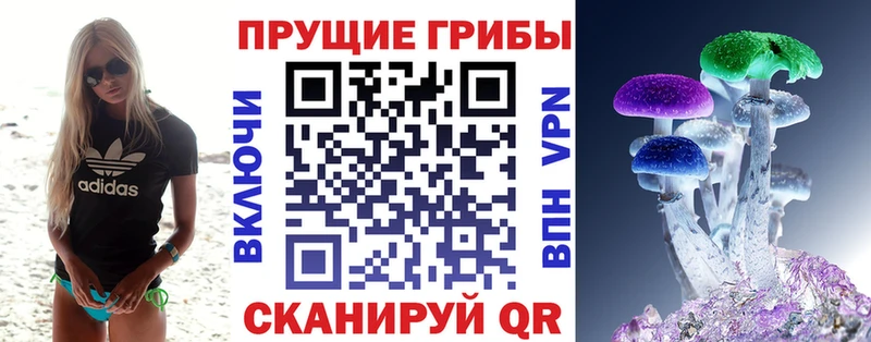 Купить закладки Протвино Галлюциногенные грибы прущие грибы