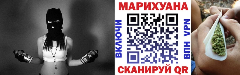 Купить  Протвино  Каннабис сатива 